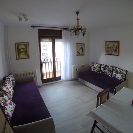 Violet Star Apartment Novi Sad Esterno foto