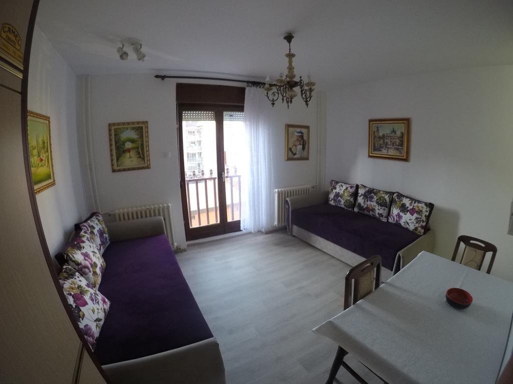 Violet Star Apartment Novi Sad Esterno foto