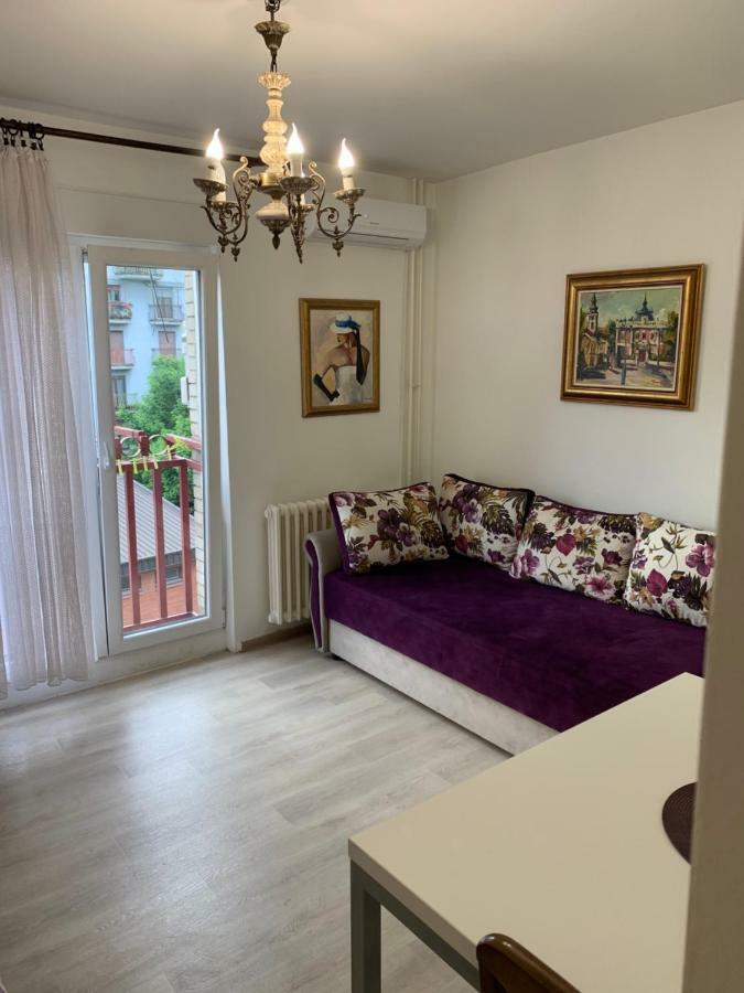 Violet Star Apartment Novi Sad Esterno foto