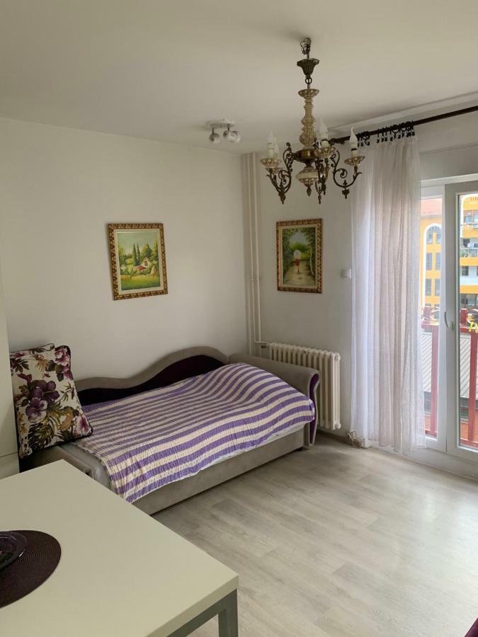 Violet Star Apartment Novi Sad Esterno foto