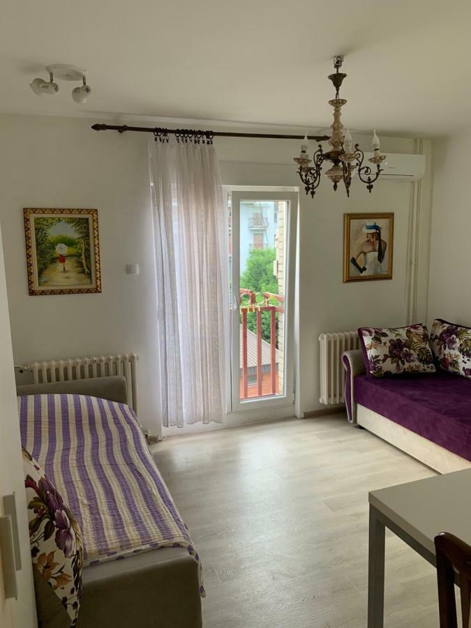 Violet Star Apartment Novi Sad Esterno foto